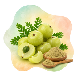 Amla
