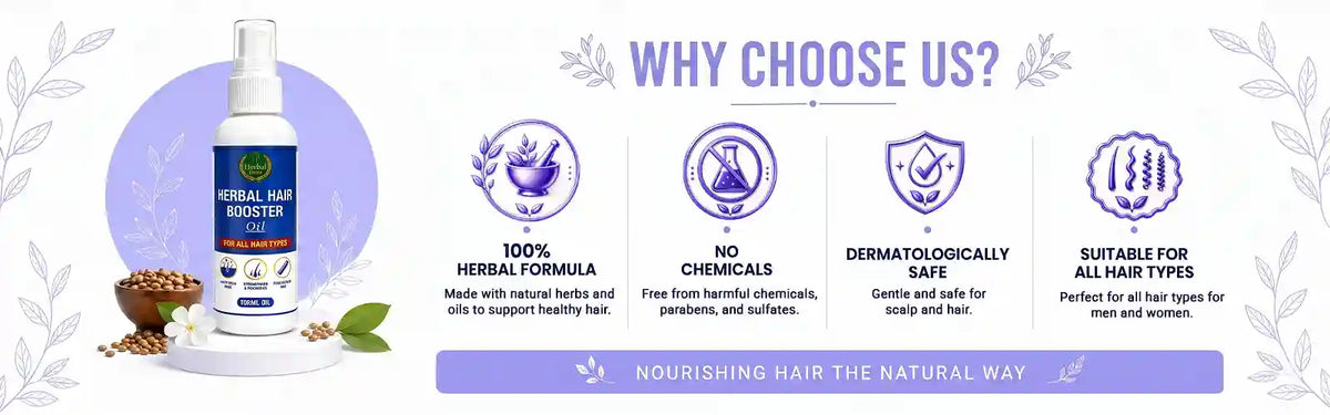 Why Choose Us?