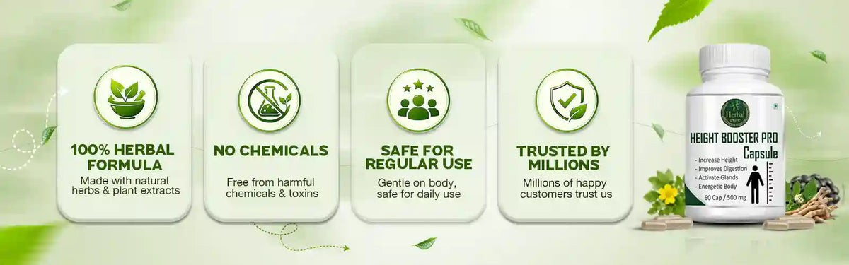WHY CHOOSE US