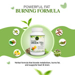 Green tea supplement bottle with ingredients text on a green background